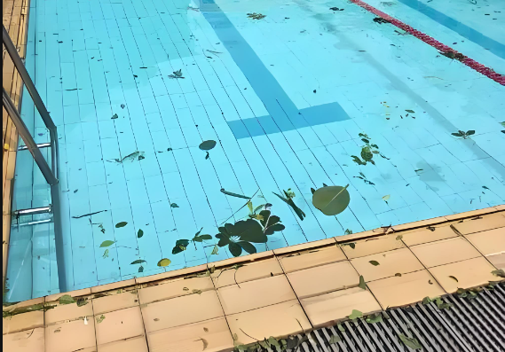 游泳池余氯在線水質檢測儀